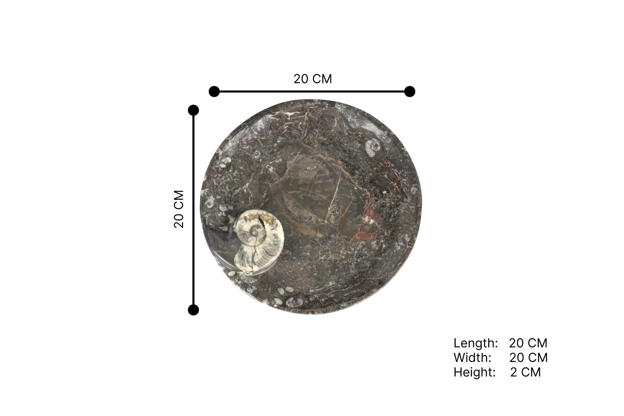 236-Round Black Fossil Bowl ST